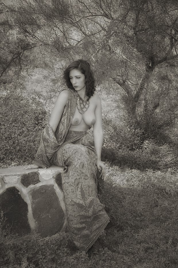 Carlotta Champagne Artistic Nude Photo by Photographer Samuel E Burns