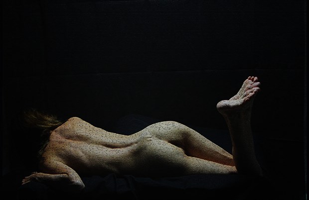 Cast Artistic Nude Photo by Photographer Dwight Woodson Jr