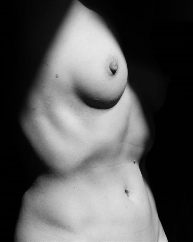 Cat Shadow 1 Artistic Nude Photo by Photographer 2photographics