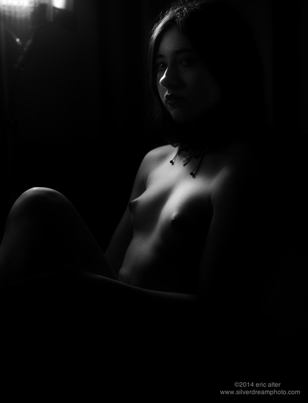 Charlaine2 Artistic Nude Photo by Photographer SilverDreamPhotography