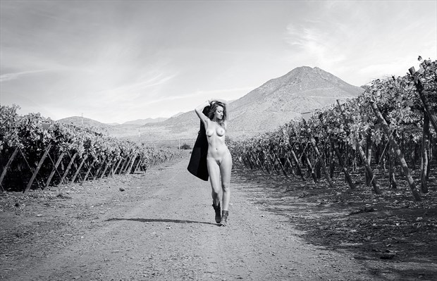Chilean Wineyard Artistic Nude Photo by Photographer alevega