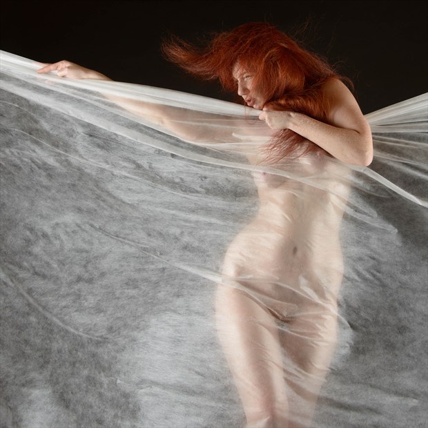 Chrissie Veied Artistic Nude Photo by Photographer Rascallyfox