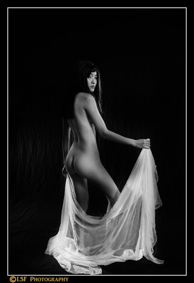 Christiane Artistic Nude Photo by Photographer LSF Photography