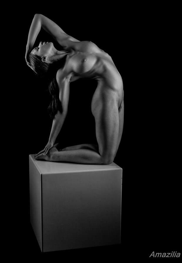 Classic Art Nude Artistic Nude Photo by Photographer Amazilia Photography