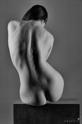 Classic Art Nude Artistic Nude Photo by Photographer Amazilia Photography