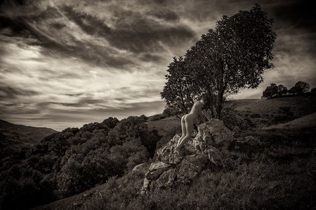 Climb Artistic Nude Artwork by Photographer Dan West