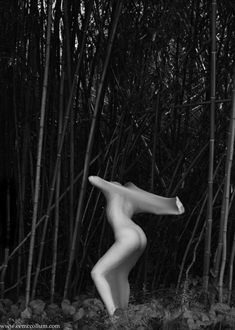 Cocoon series %23155 Artistic Nude Photo by Model blueriverdream