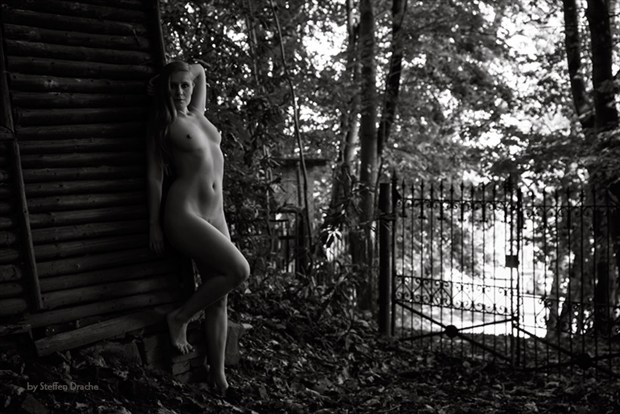 Come into the garden. IV Artistic Nude Photo by Photographer drachenphoto