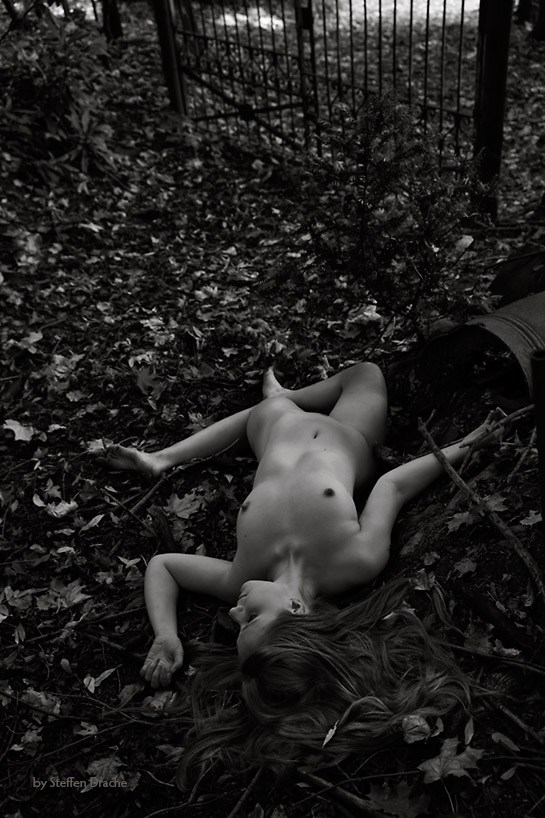Come into the garden. VI Artistic Nude Photo by Photographer drachenphoto