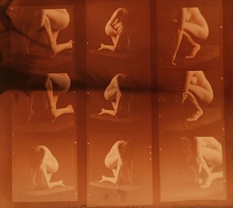 Contact sheet 1 Artistic Nude Photo by Photographer Wooden Halfplate