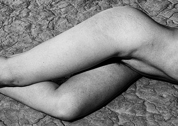 Contrast Artistic Nude Photo by Photographer Photo Art Vegas