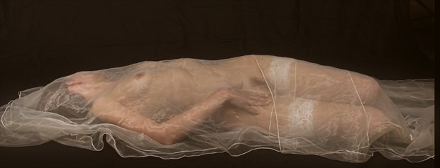 Covered Artistic Nude Photo by Photographer Brian Lewicki