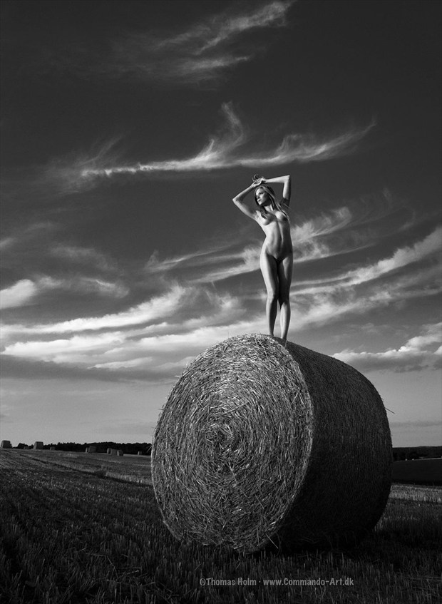Crop circle Artistic Nude Photo by Photographer CommandoArt