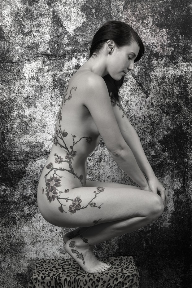 Crouching Tiger Artistic Nude Photo by Photographer ehobart