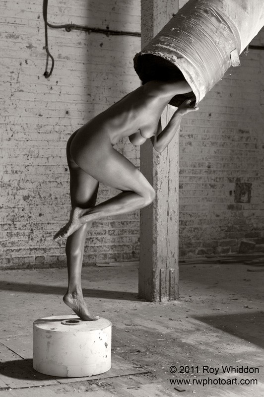 Curiosity Artistic Nude Photo by Photographer Roy Whiddon