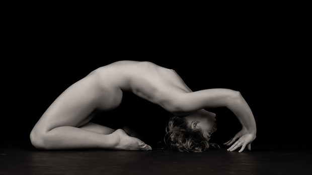 Curve Artistic Nude Photo by Photographer Rascallyfox