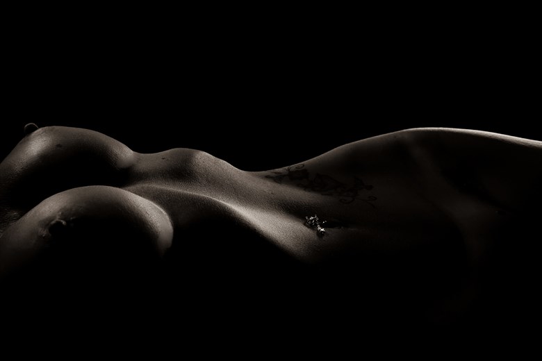 Curves of the Female Form Artistic Nude Artwork by Model Phoenix Starr