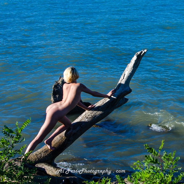 Curvy Artistic Nude Photo by Photographer Al Fess