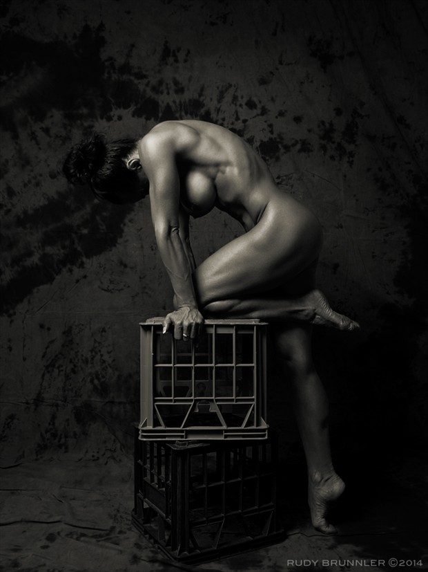 D figure Artistic Nude Photo by Photographer RudyBrunnler