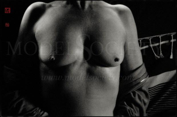 D300 0029 Artistic Nude Photo by Artist Gilles Le Corre