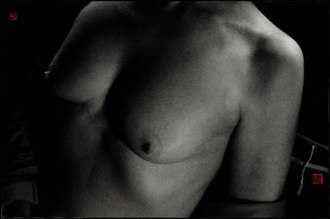 D300 0030 Artistic Nude Photo by Artist Gilles Le Corre
