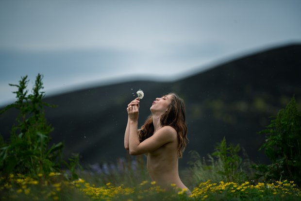Dandelion Artistic Nude Photo by Photographer Odinntheviking