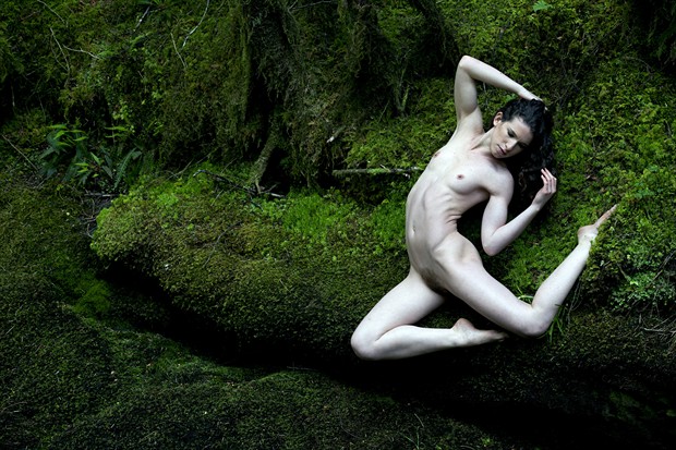 Dark, green Artistic Nude Photo by Photographer gdelargy photography