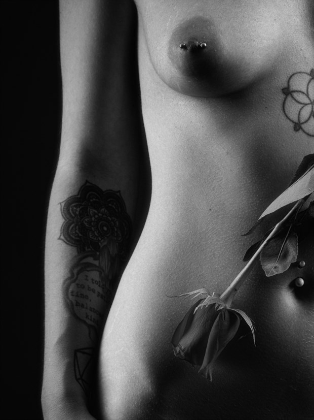 Delicate Rose Artistic Nude Photo by Photographer Bill Dahl
