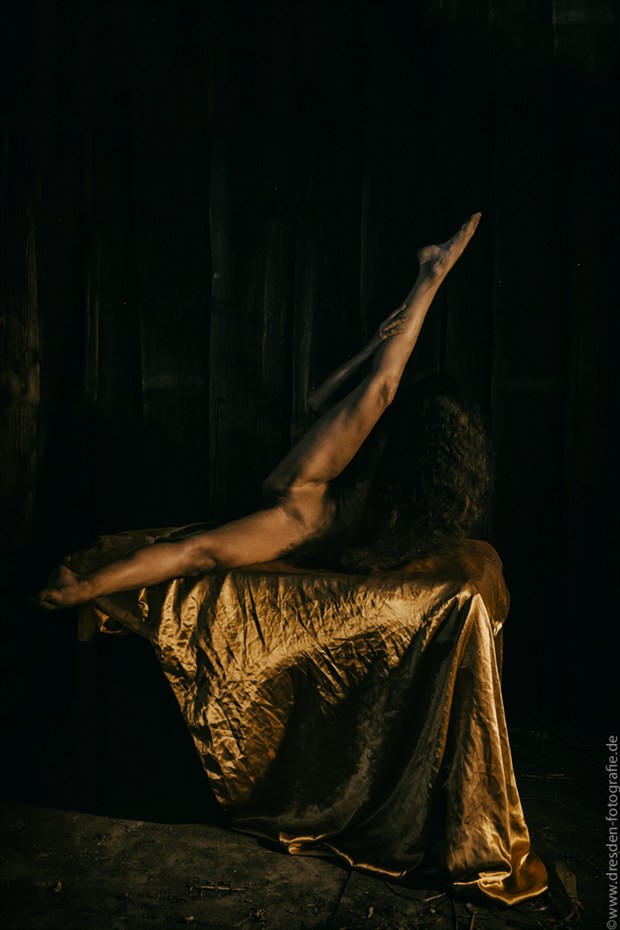 Der goldene Schritt. Artistic Nude Photo by Photographer S.Dittrich