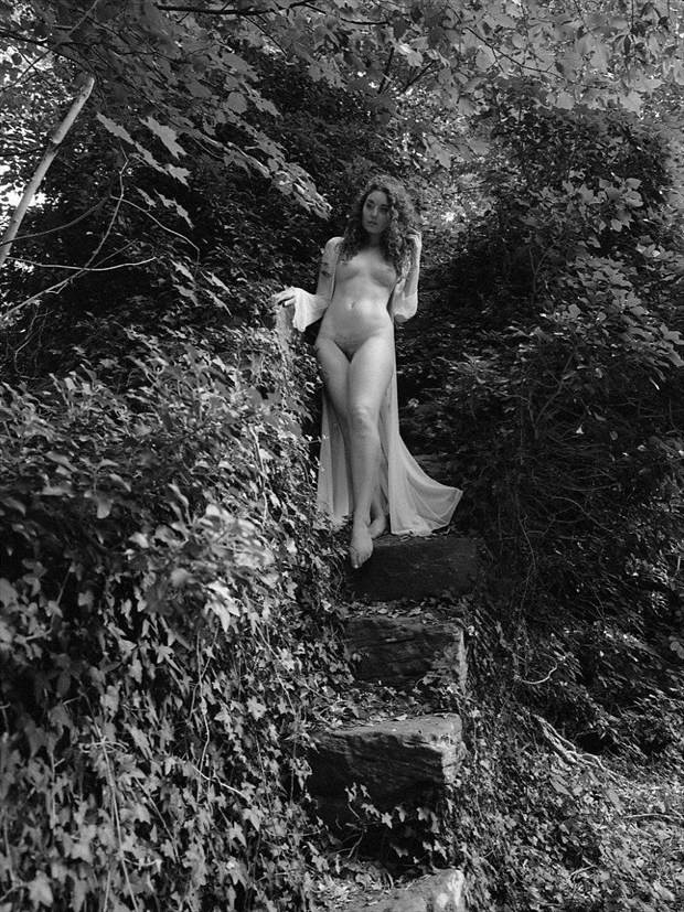 Descending Artistic Nude Artwork by Photographer Steven Billups