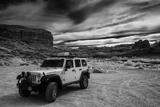 Desert Adventurer Nature Photo by Photographer MickeySchwartz