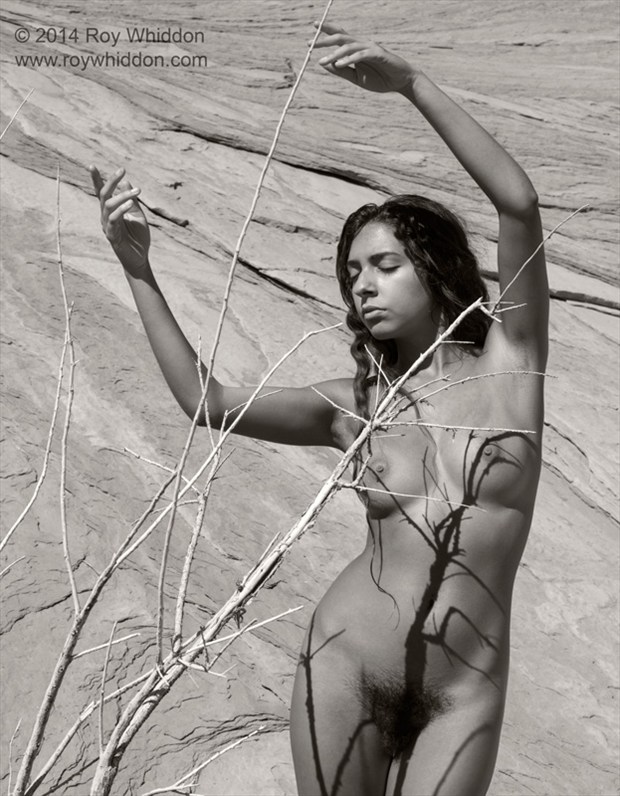 Desert Shadows Artistic Nude Photo by Photographer Roy Whiddon