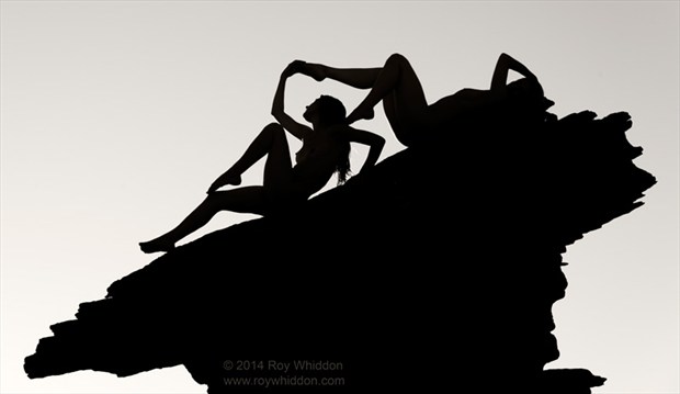 Desert Silhouettes Artistic Nude Photo by Photographer Roy Whiddon