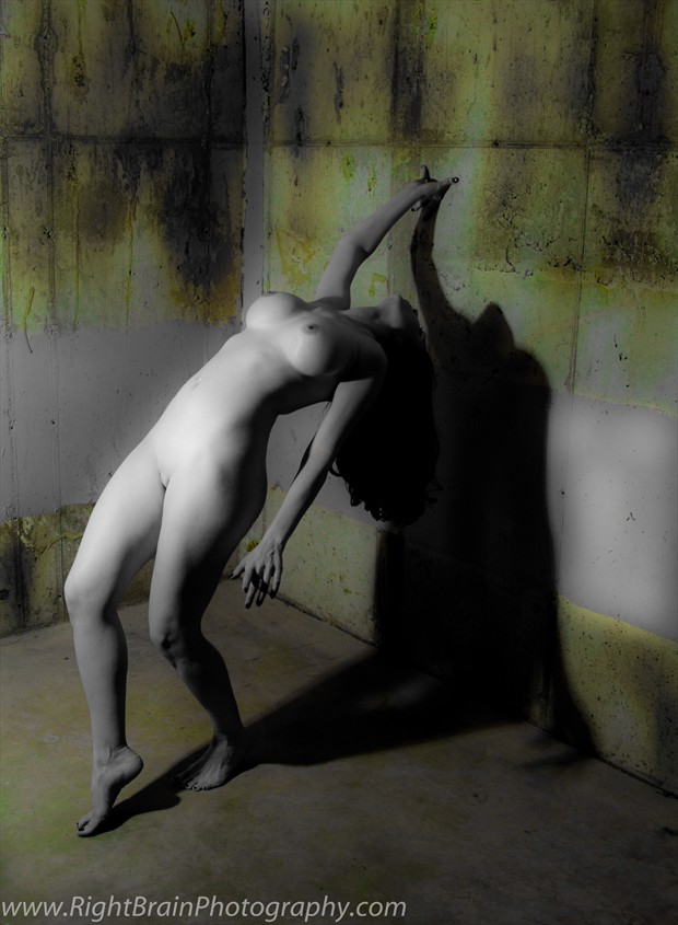 Desolation Artistic Nude Photo by Photographer Right Brain