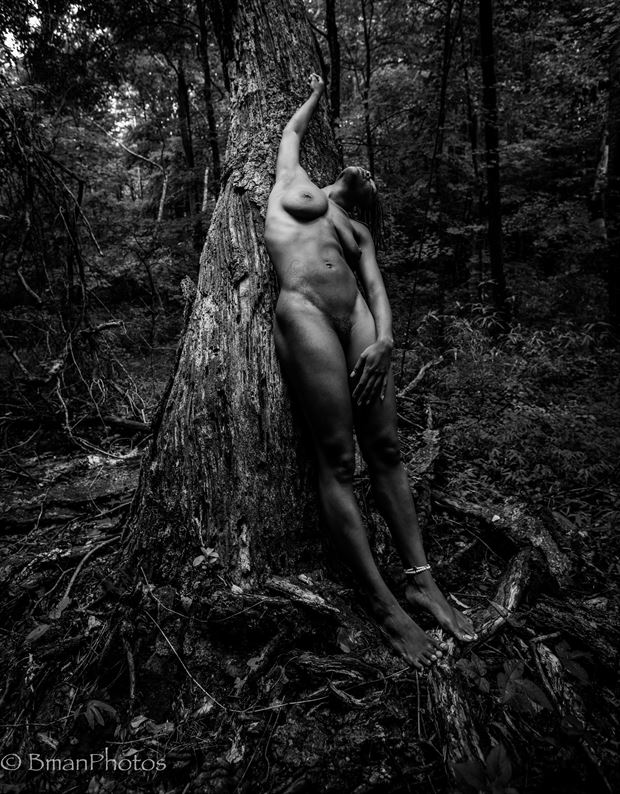 Deyanna Denyse Artistic Nude Photo by Photographer BmanPhotos
