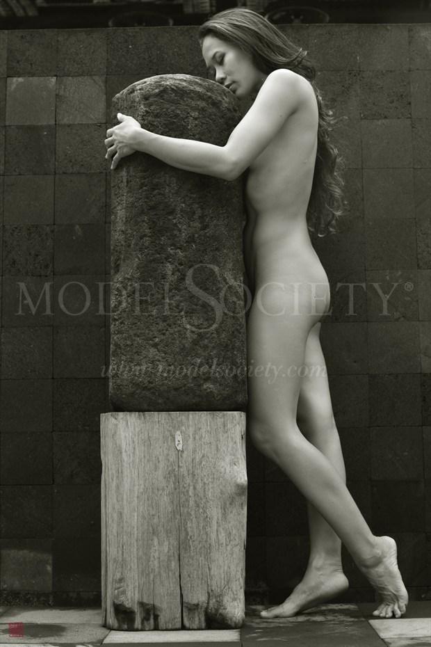 Diana 1 Artistic Nude Photo by Photographer Patrice Delmotte