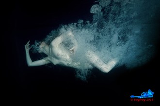 Diver Clothed in Bubbles V Artistic Nude Photo by Photographer Bogfrog