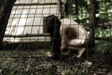 Don't fence me in Artistic Nude Photo by Photographer DaveMylesPhotography