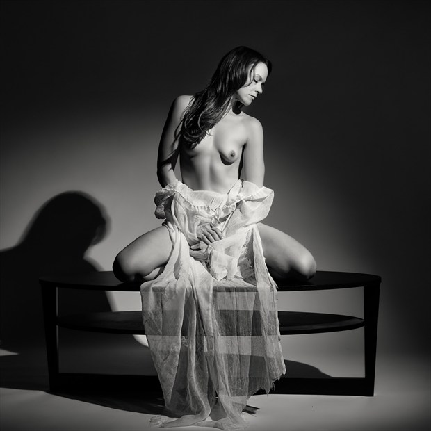 Donna Disrobes Artistic Nude Photo by Photographer Rascallyfox
