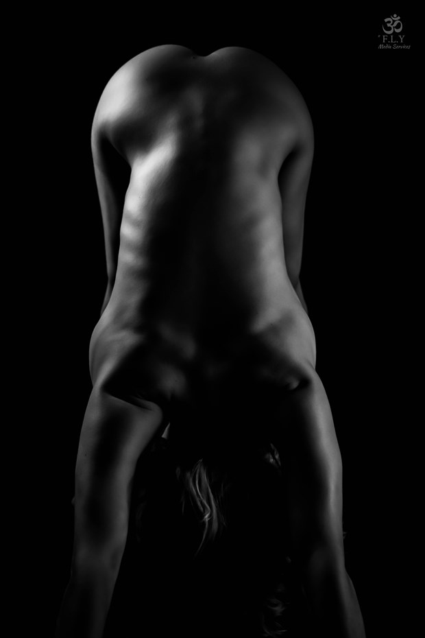 Down Dog Artistic Nude Photo by Photographer FLY Media Services
