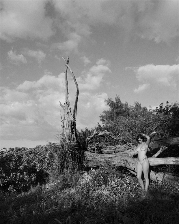 Downed Tree Artistic Nude Photo by Photographer Jason Tag
