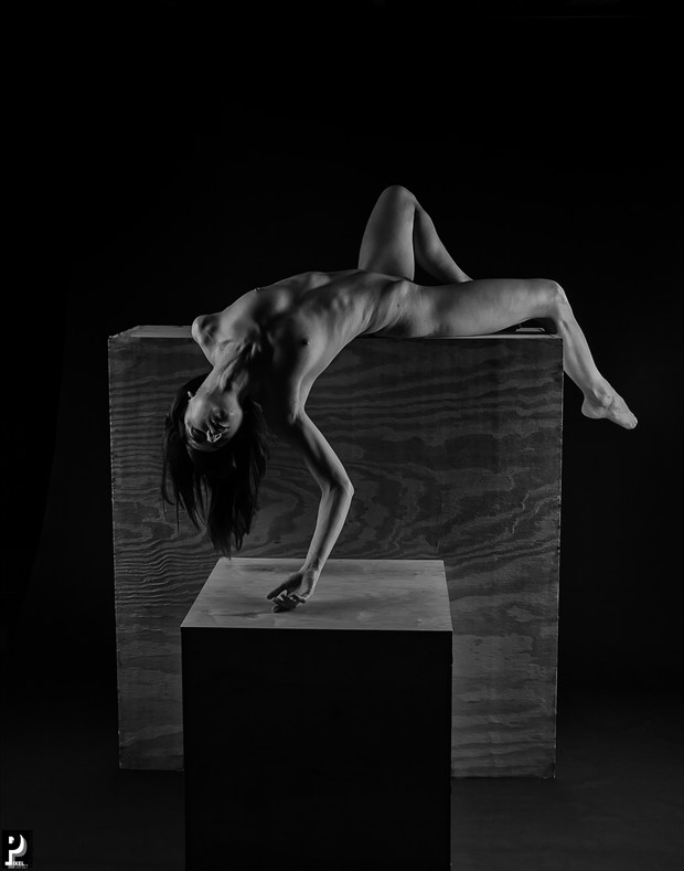 Draped Artistic Nude Artwork by Photographer Thom Peters Photog