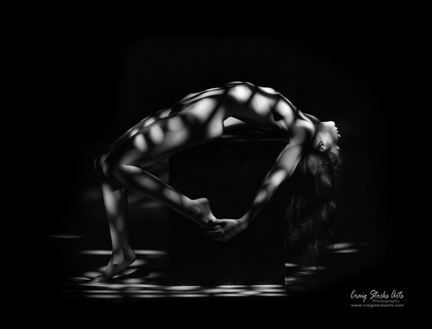 Draped Artistic Nude Photo by Photographer Craig Stocks Arts
