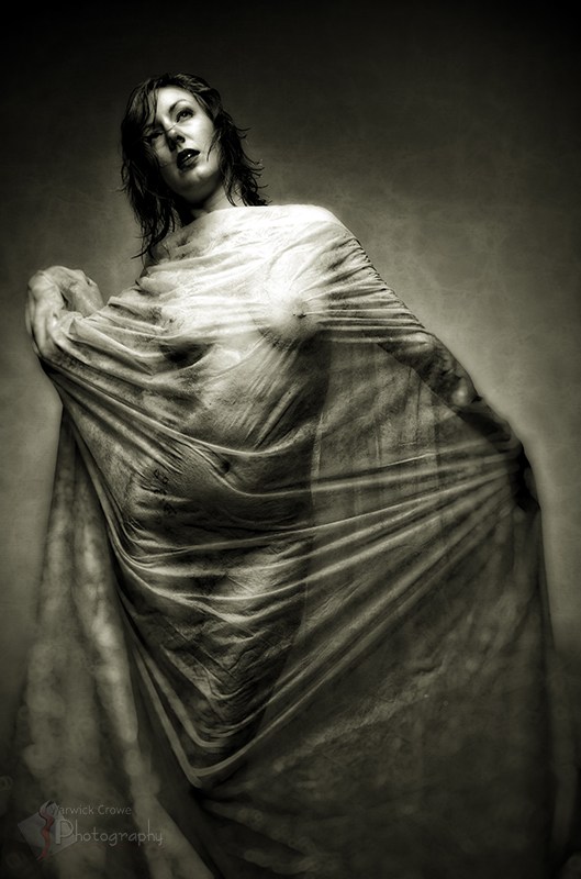 Draped Artistic Nude Photo by Photographer Incidental Pixel