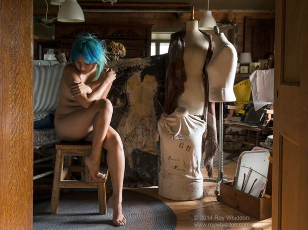 Dressmaker Forms Artistic Nude Photo by Photographer Roy Whiddon
