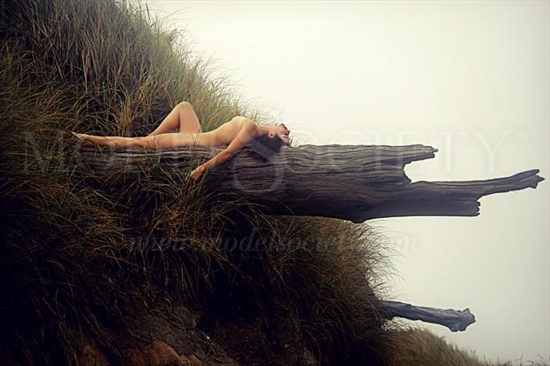 Driftwood Dreams Artistic Nude Photo by Artist AnneDeLion