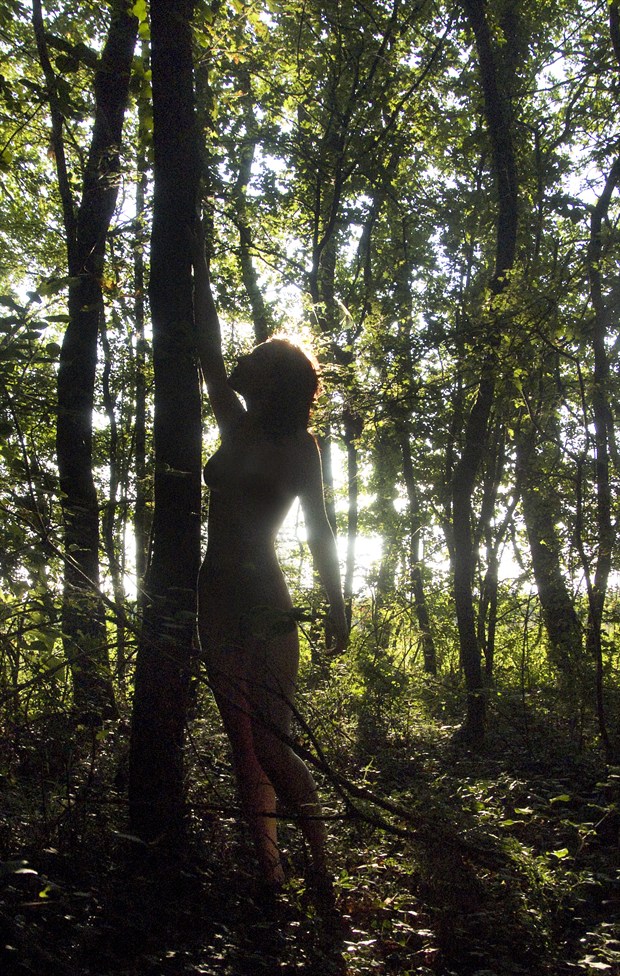 Dryad and her tree Artistic Nude Photo by Photographer Jonathan Charles