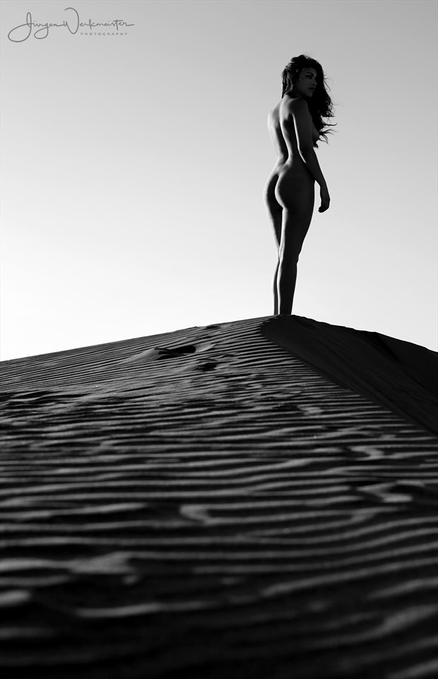 Dunes 2 Artistic Nude Photo by Photographer Photowerk
