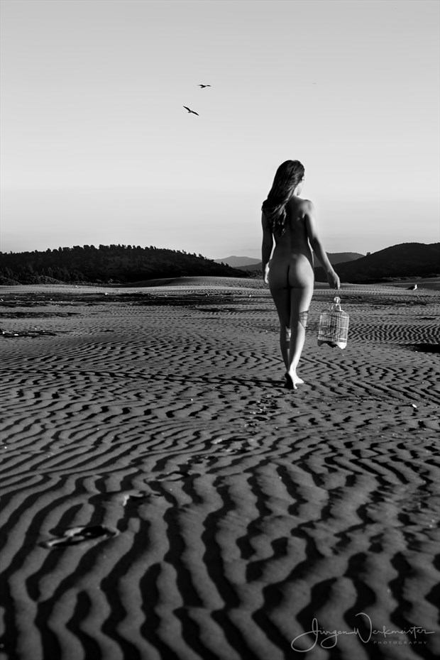 Dunes Artistic Nude Photo by Photographer Photowerk