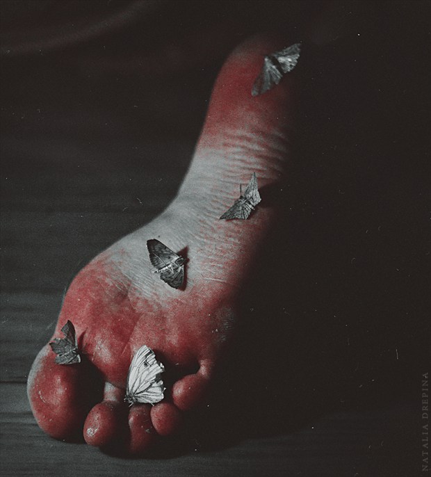 Dusty Moths Horror Photo by Photographer Natalia Drepina